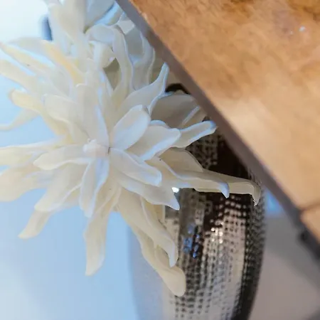 Apartament Giovio Loft - The House Of Travelers *