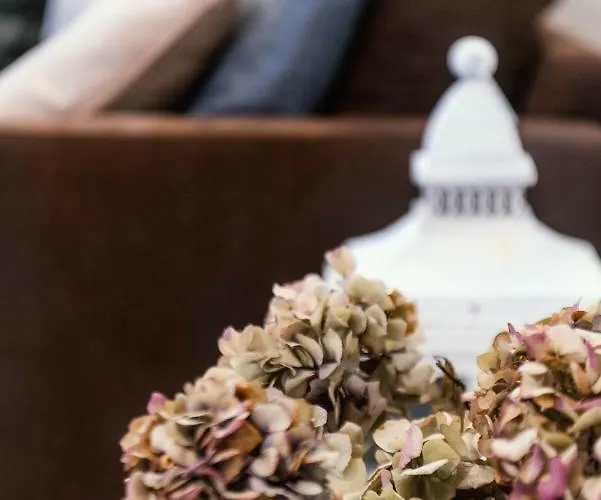 Giovio Loft - The House Of Travelers Комо